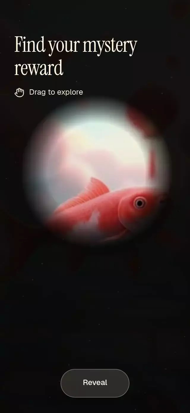 Flashlight Reveal animation preview