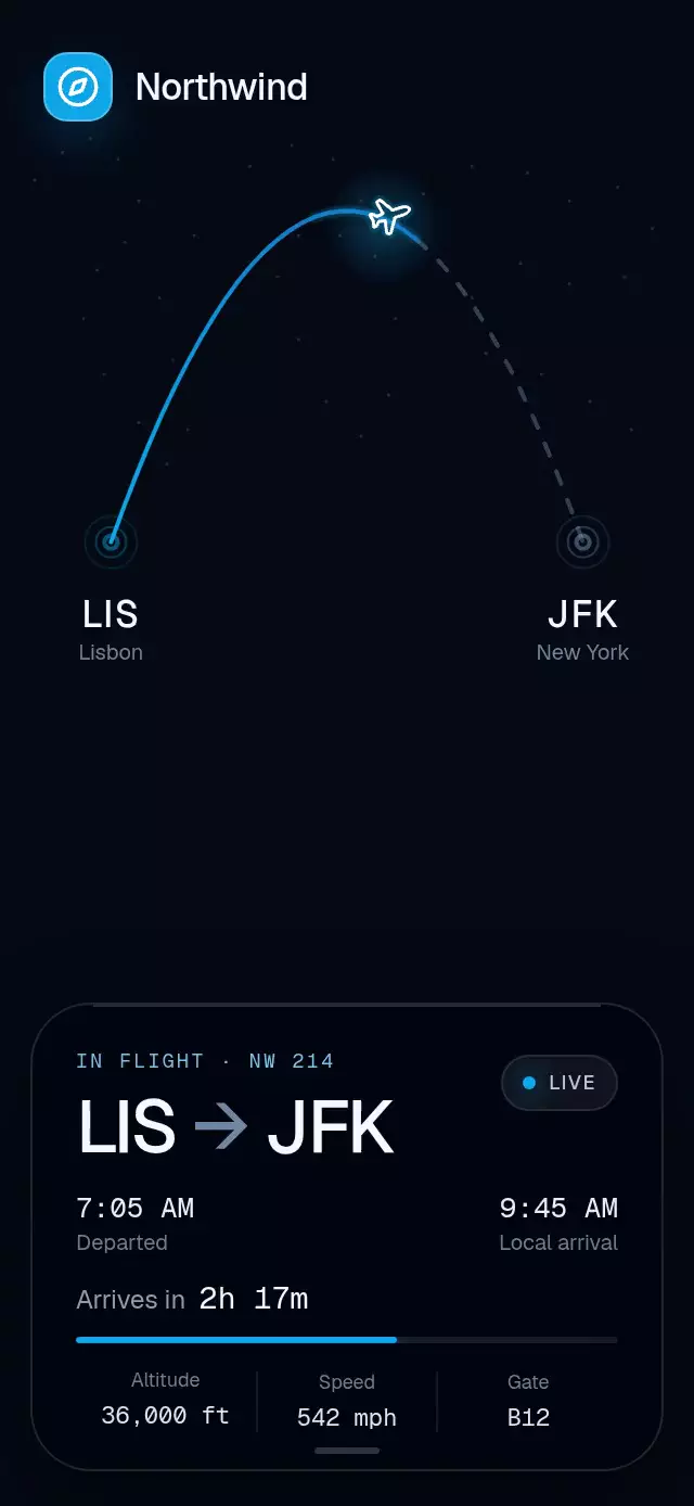 Flight Arc Tracker animation preview